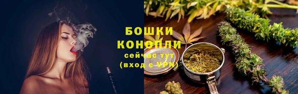 крисы Вязьма