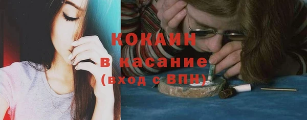 крисы Вязьма