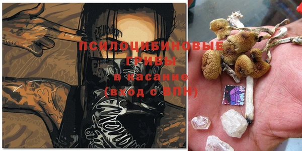Альфа ПВП Вязники