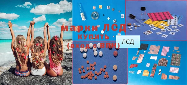 крисы Вязьма