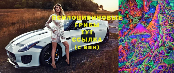 Альфа ПВП Вязники