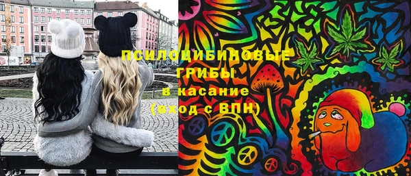 Альфа ПВП Вязники