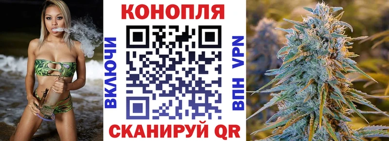 Канабис индика Черноголовка